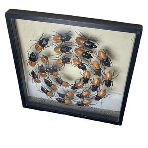 Beetles‎ Faux Library Studio Props